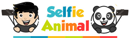 Selfie animal